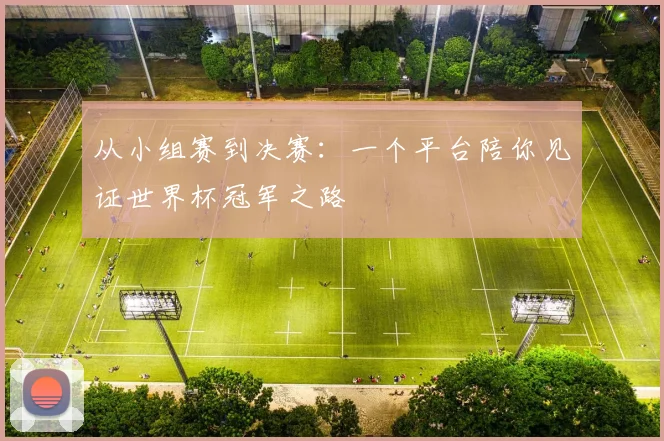 从小组赛到决赛：一个平台陪你见证世界杯冠军之路