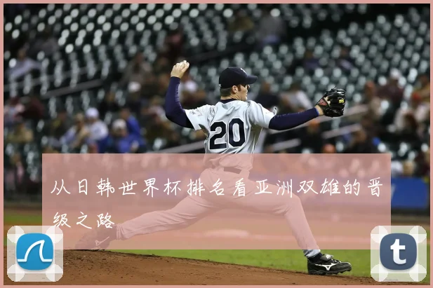 从日韩世界杯排名看亚洲双雄的晋级之路