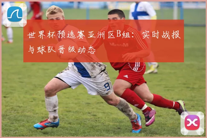 世界杯预选赛亚洲区B组：实时战报与球队晋级动态