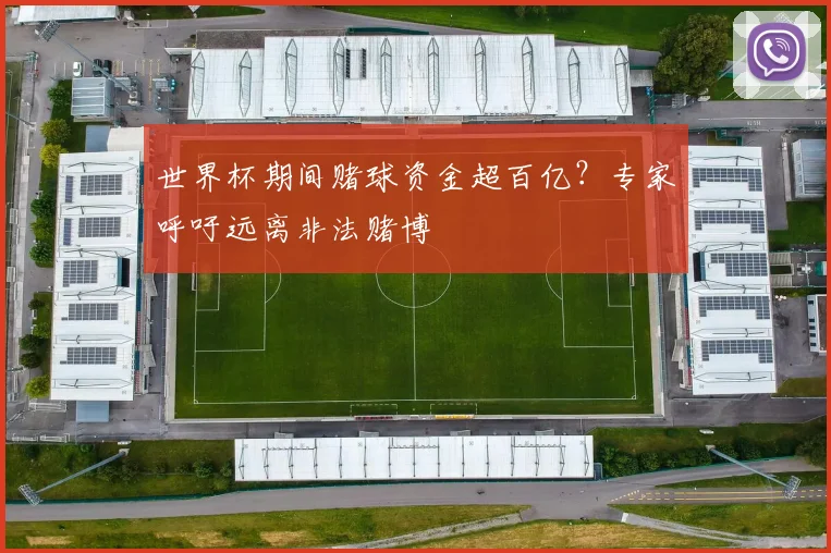 世界杯期间赌球资金超百亿?专家呼吁远离非法赌博