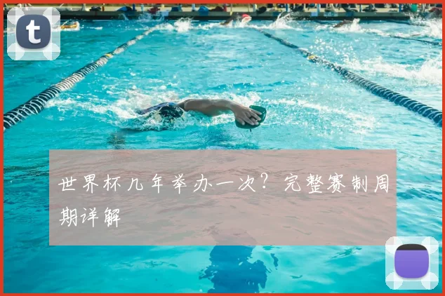 世界杯几年举办一次？完整赛制周期详解